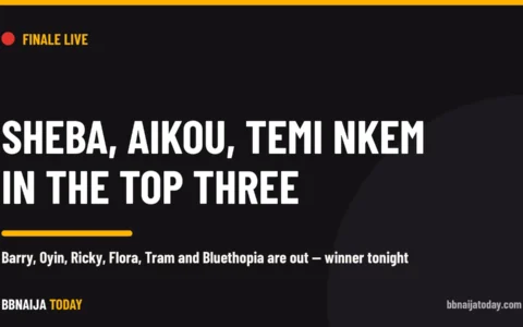 Sheba, Aikou and Temi Nkem in the BBNaija Season 11 finale top three